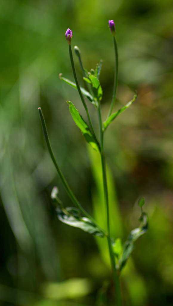 IMGP3918-1024.jpg