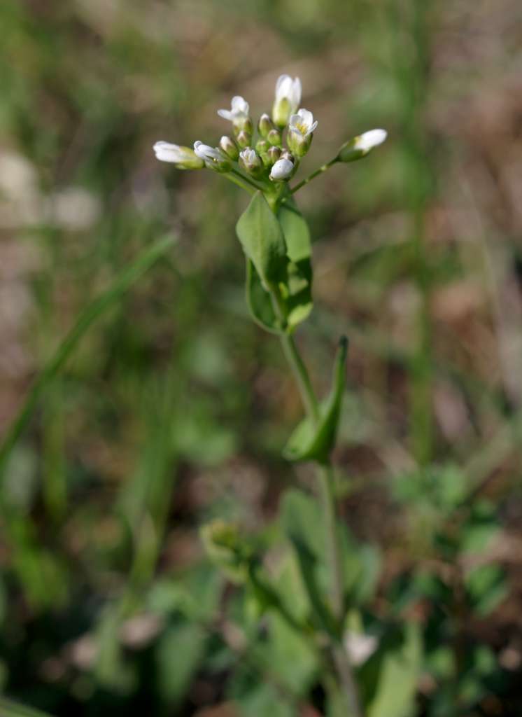 IMGP6610-1024.jpg