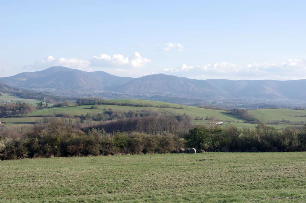 IMGP6655-1024.jpg