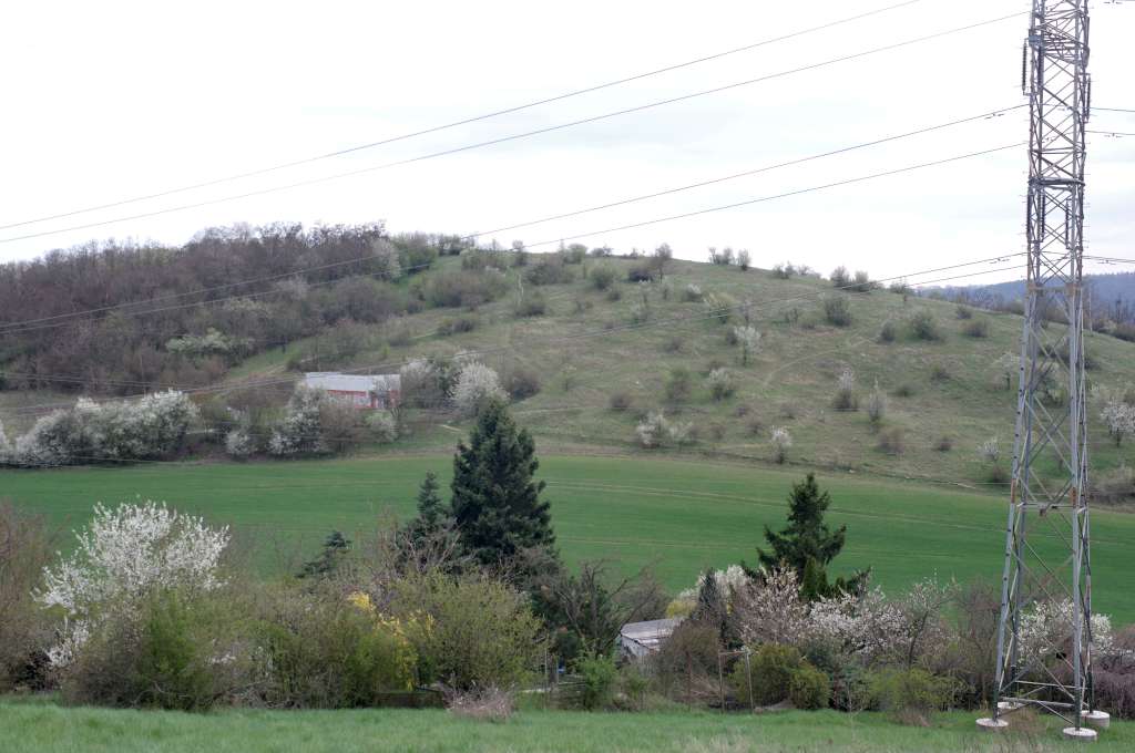 IMGP6865-1024.jpg