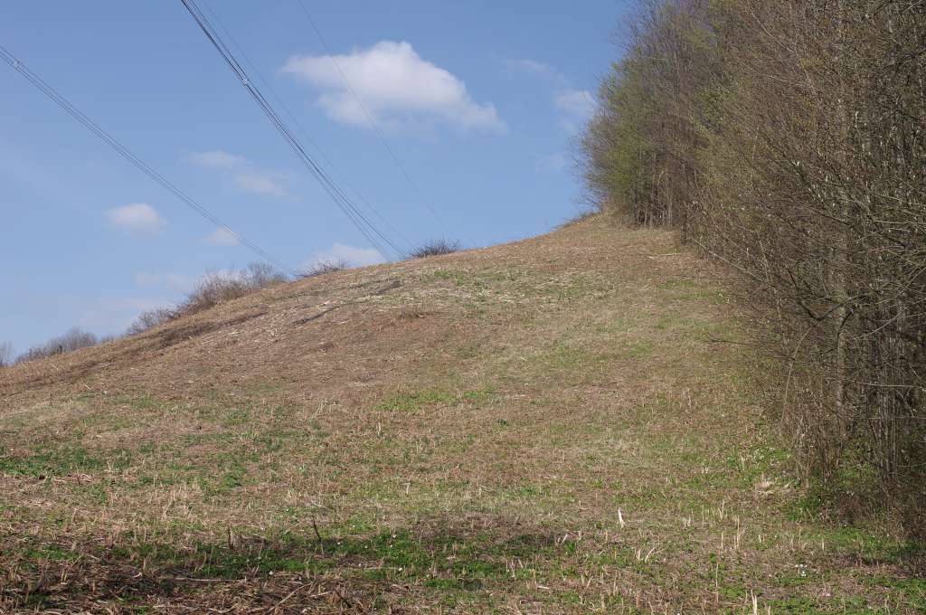 IMGP7039-1024.jpg