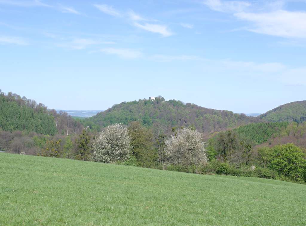 IMGP7168-1024.jpg