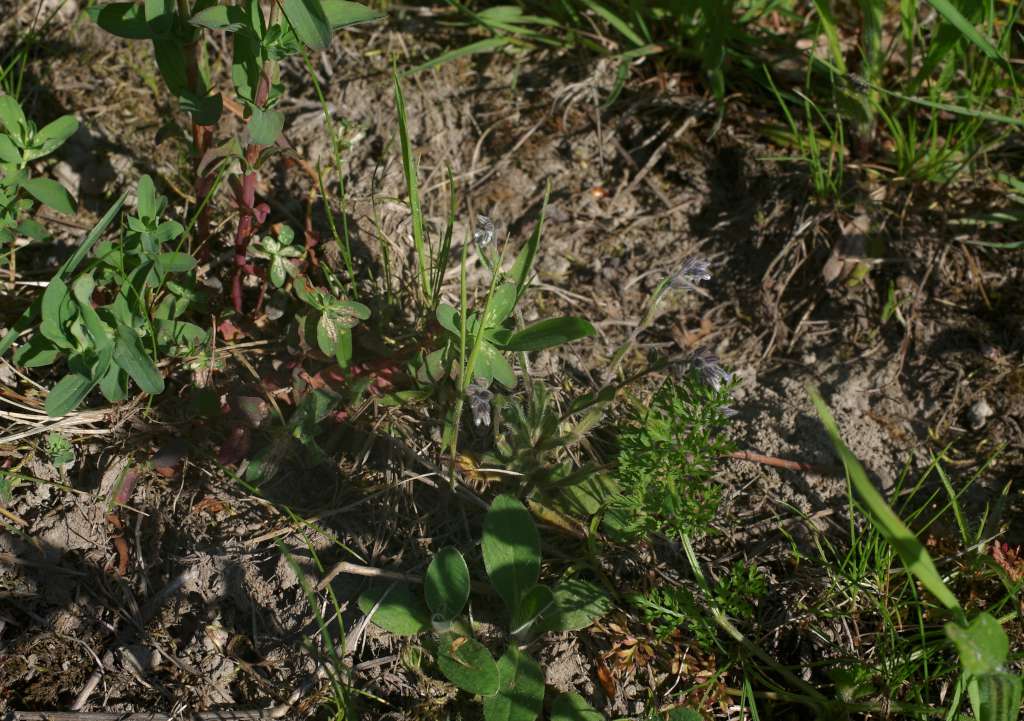 IMGP7618-1024.jpg