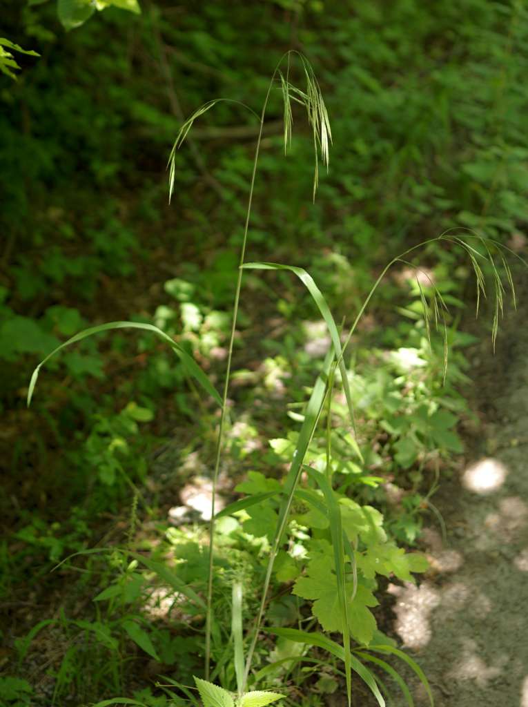 IMGP9330-1024.jpg