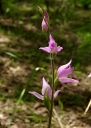 IMGP9218-1024.jpg