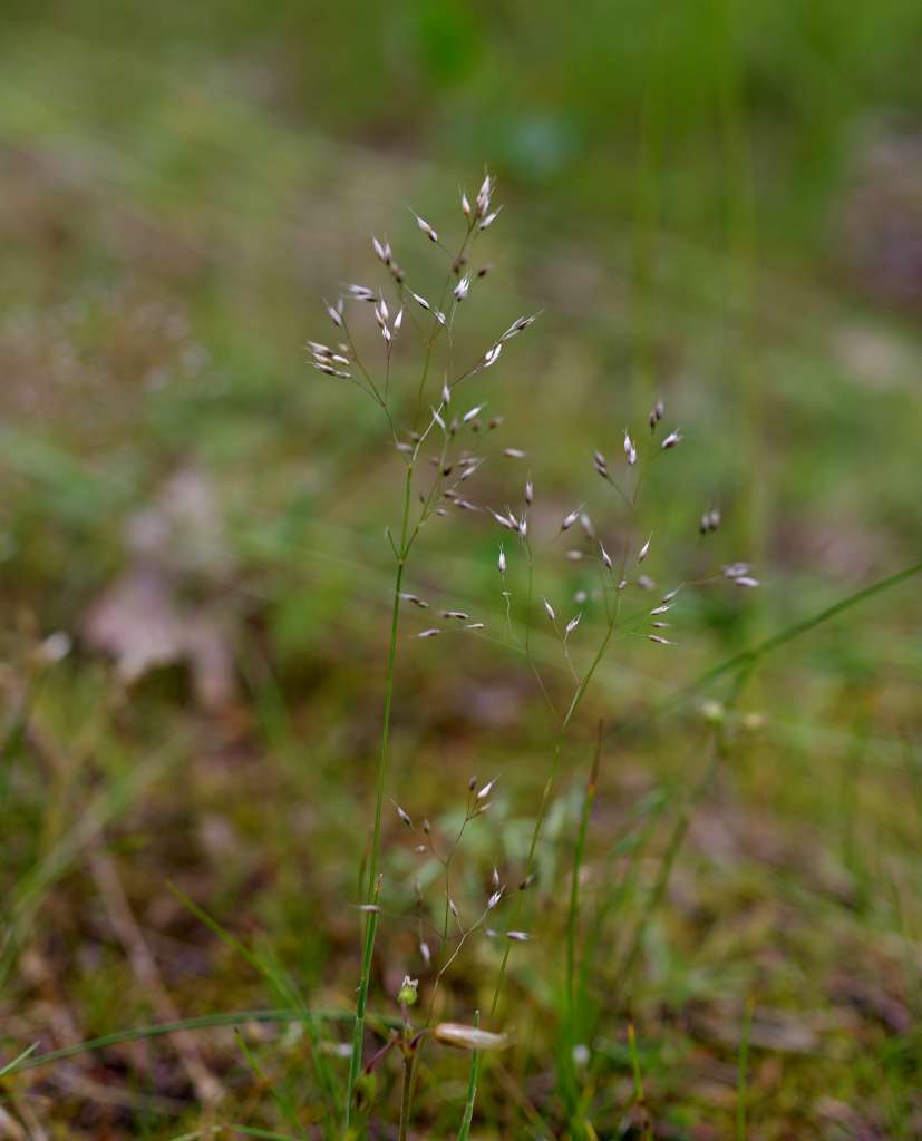 IMGP8593-1024.jpg