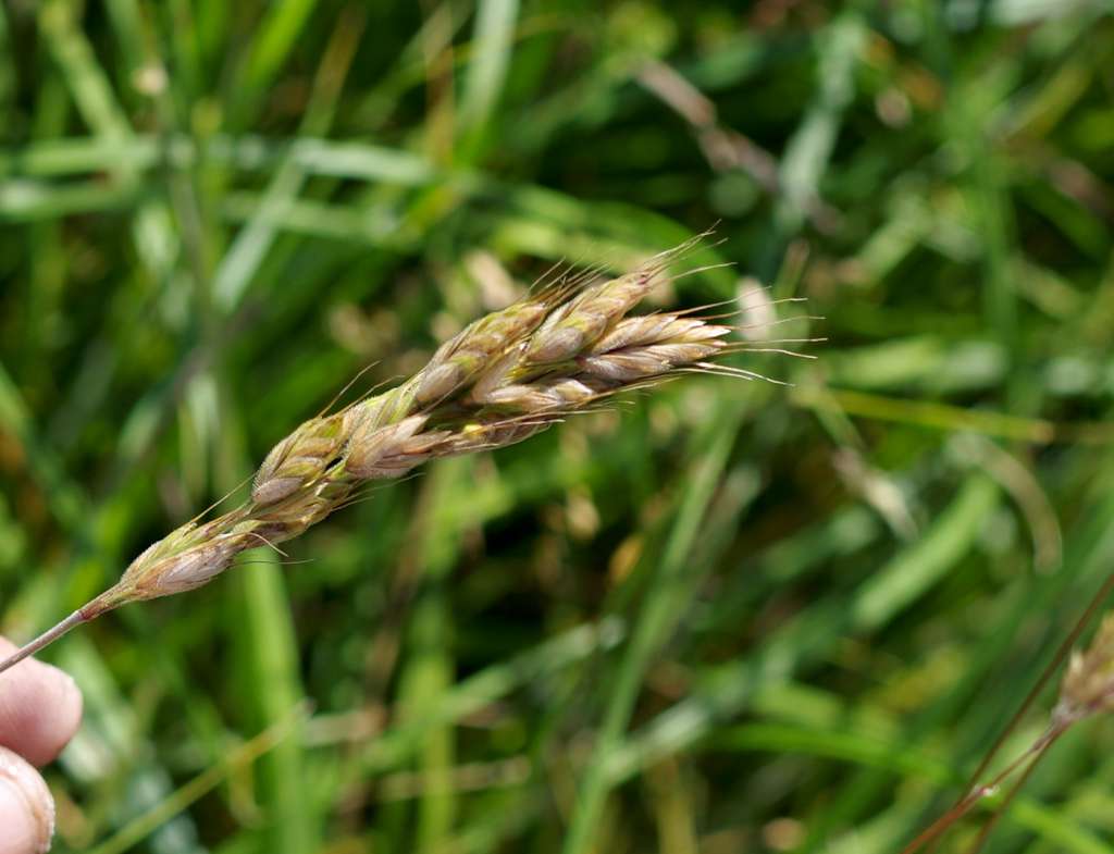 IMGP9392-1024.jpg