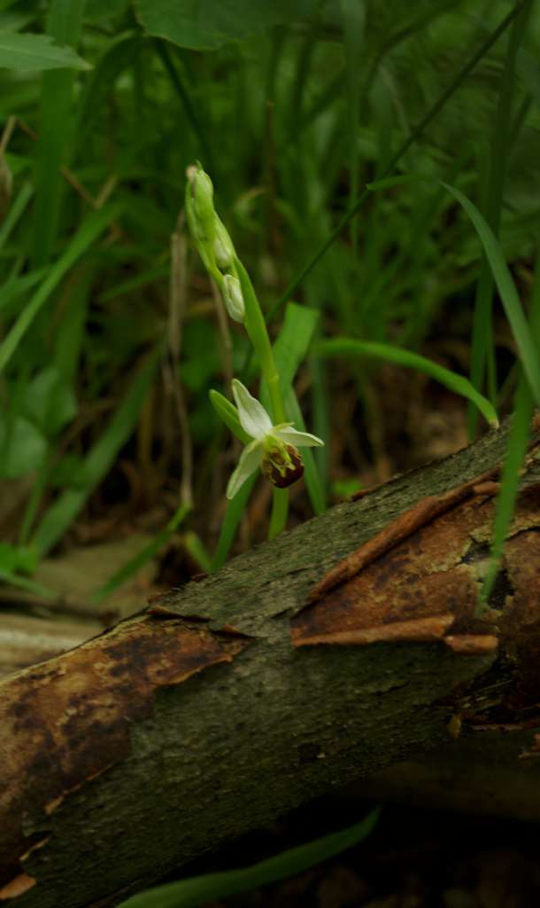 IMGP8947-1024.jpg