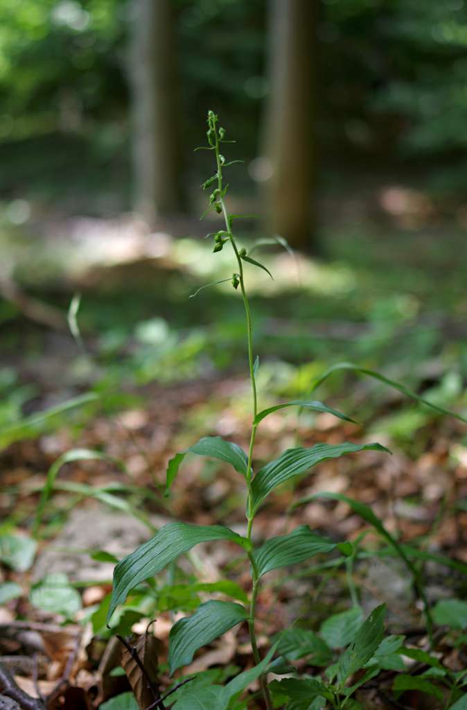 IMGP0818-1024.jpg