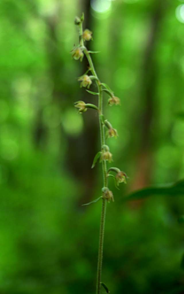 IMGP0121-1024.jpg