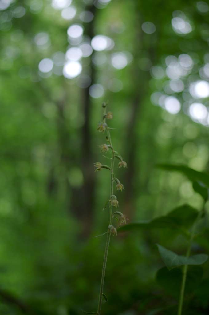 IMGP0122-1024.jpg