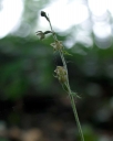 IMGP0124-1024.jpg