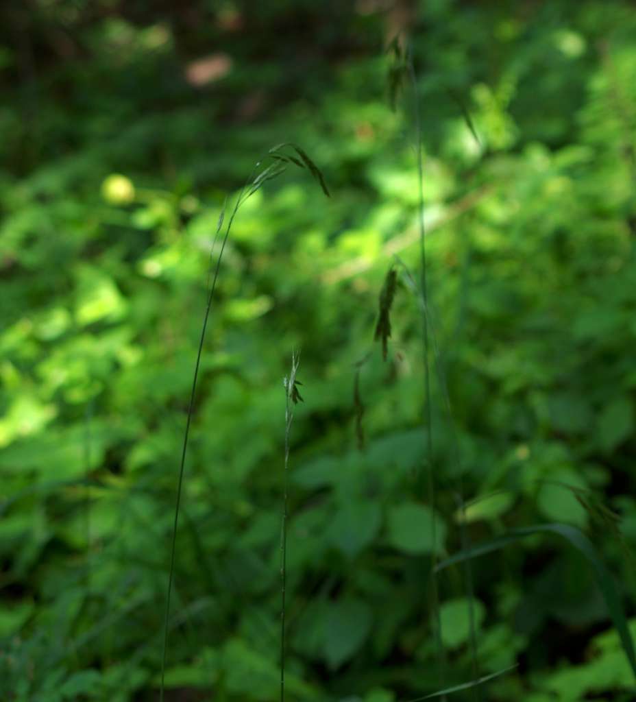 IMGP0399-1024.jpg