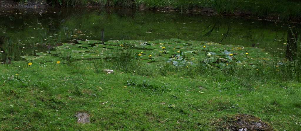 IMGP0495-1024.jpg