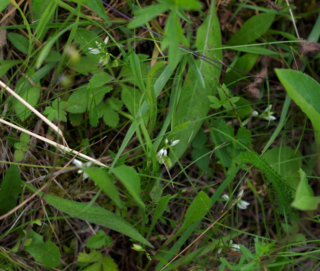 IMGP0548-1024.jpg