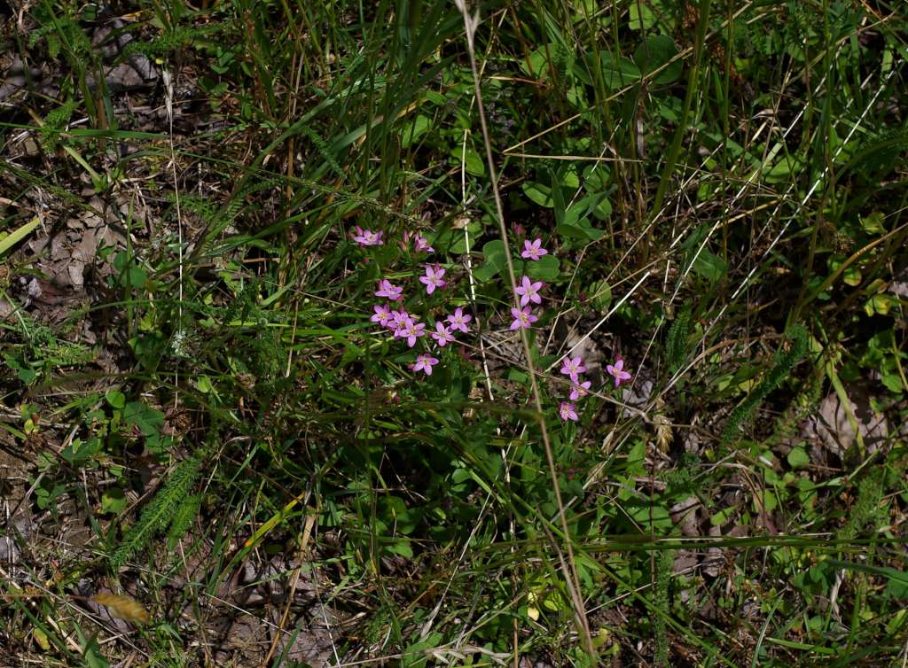 IMGP0609-1024.jpg