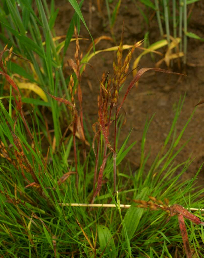 IMGP8790-1024.jpg