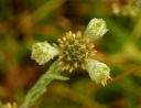 IMGP0947-1024.jpg