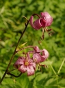 IMGP9107-1024.jpg