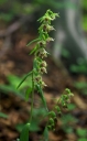 IMGP1134-1024~0.jpg