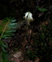IMGP1152-1024.jpg