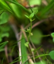 IMGP1159-1024.jpg