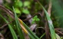 IMGP1160-1024.jpg