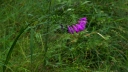 IMGP1173-1024.jpg