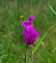 IMGP1176-1024.jpg
