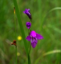 IMGP1180-1024.jpg