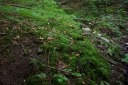 IMGP1190-1024.jpg