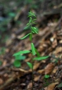IMGP1204-1024.jpg