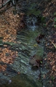 IMGP1207-1024.jpg