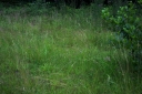 IMGP1216-1024.jpg