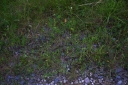 IMGP1218-1024.jpg