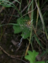 IMGP2363-1024.jpg