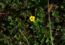 IMGP2365-1024.jpg