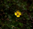 IMGP2368-1024.jpg