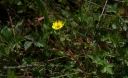 IMGP2369-1024.jpg