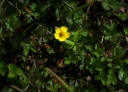 IMGP2372-1024.jpg