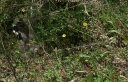 IMGP2373-1024.jpg