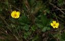 IMGP2374-1024.jpg
