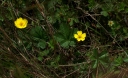 IMGP2376-1024.jpg