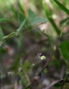IMGP2379-1024.jpg