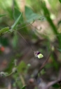 IMGP2381-1024.jpg
