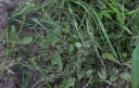 IMGP2394-1024.jpg