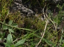 IMGP2396-1024.jpg