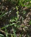IMGP2401-1024.jpg
