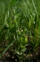 IMGP2402-1024.jpg