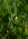IMGP2403-1024.jpg